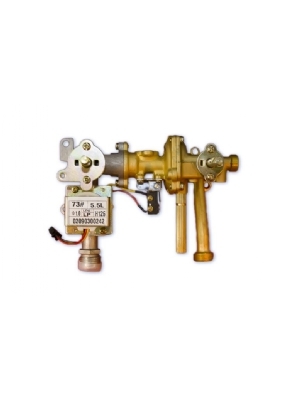 Complete gas/water valve for the Eccotemp L5